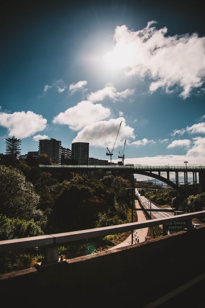 zane-lee-X8ZQrchXG-Q-unsplash | Clouve Inc