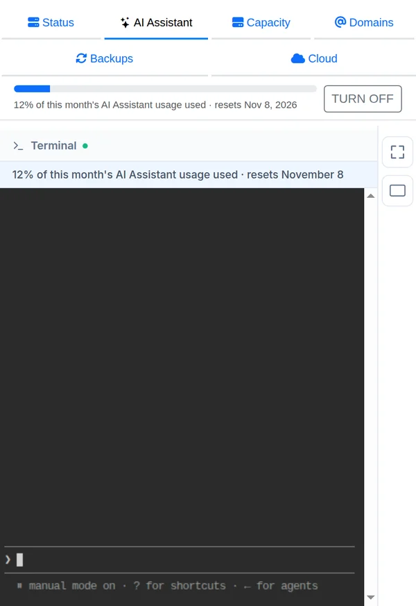 The AI Assistant tab in Clouve. A bar shows that 12% of this month's AI usage is used and when it resets, next to a Turn off button. The assistant's terminal is below it.